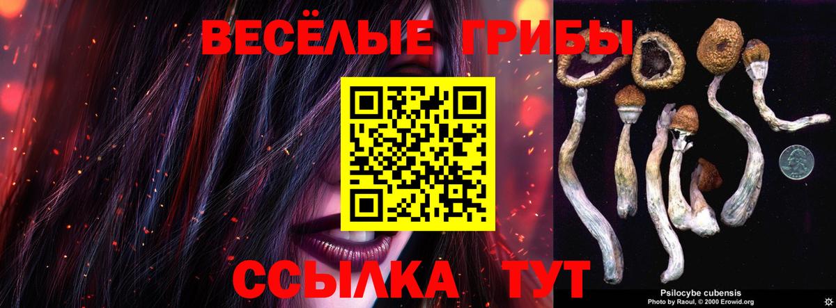Псилоцибиновые грибы мицелий Ступино
