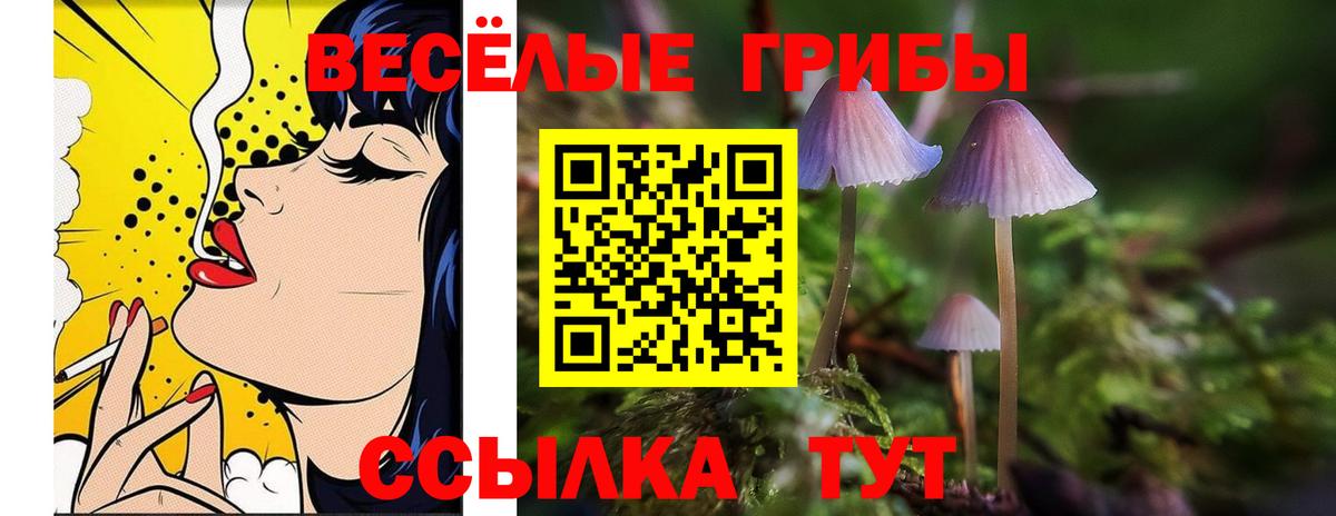 Галлюциногенные грибы Magic Shrooms  Галлюциногенные грибы GOLDEN TEACHER  Вход с VPN  Ступино 